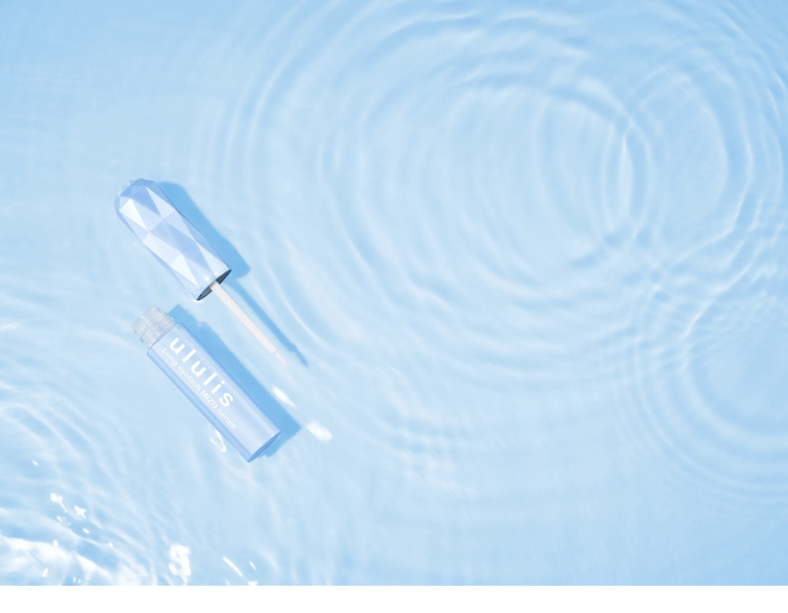 新発売記念キャンペーン