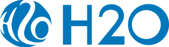 H2O