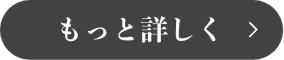 ダメージ補修のプレミアムボタン