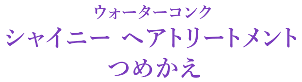 ウォーターコンク シャイニー ヘアトリートメント つめかえ