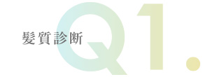 髪質診断 Q1