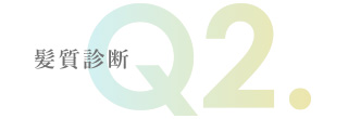 髪質診断 Q2