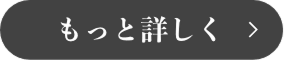 ダメージ補修のプレミアムボタン