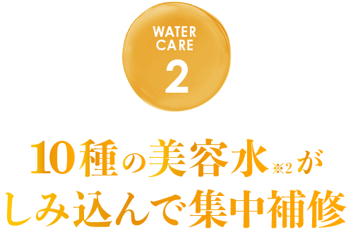 10種の美容水がしみ込んで集中保湿