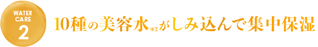 10種の美容水がしみ込んで集中保湿