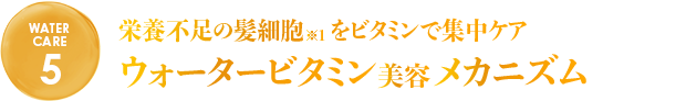 栄養不足の髪細胞をビタミンで集中ケア