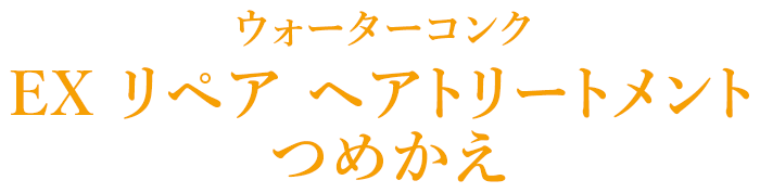 ウォーターコンク EX ヘアトリートメント つめかえ