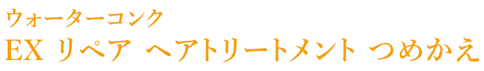 ウォーターコンク EX ヘアトリートメント つめかえ